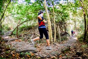 BIB: 
                            <button type="button" onclick="openModal(7048336)" class="btn btn-primary btn-sm float-right btn-popup" data-toggle="modal" data-target=".modal-high-quality">
                        <i class="fas fa-shopping-cart"></i> Add to Cart
                    </button>
                                            <button type="button" onclick="isThisMe(7048336, true)" class="btn btn-success btn-sm float-right btn-popup btn-isme hidden" data-toggle="tooltip" data-placement="bottom" title="นี่คือรูปของคุณใช่ไหม คลิกที่นี่เพื่อเอาเข้าอัลบั้ม">
                        <i class="fas fa-plus"></i> Add to album
                    </button>
                    <button type="button" onclick="isThisMe(7048336, false)" class="btn btn-warning btn-sm float-right btn-popup btn-isnotme hidden">
                        <i class="fas fa-ban"></i> Remove from album
                    </button>